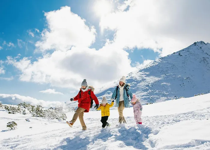 Alpen Panorama 2 - *